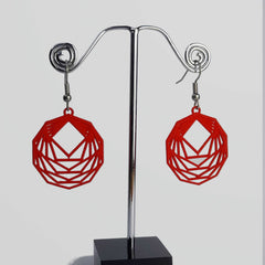 Maths Icon Earrings