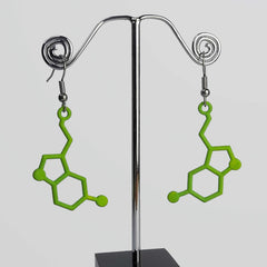Maths Icon Earrings